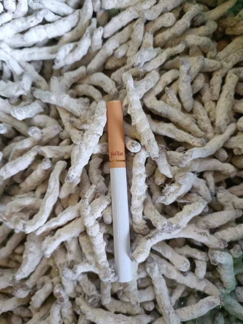 云南货源产地直销优质过检僵蚕面向全国批发