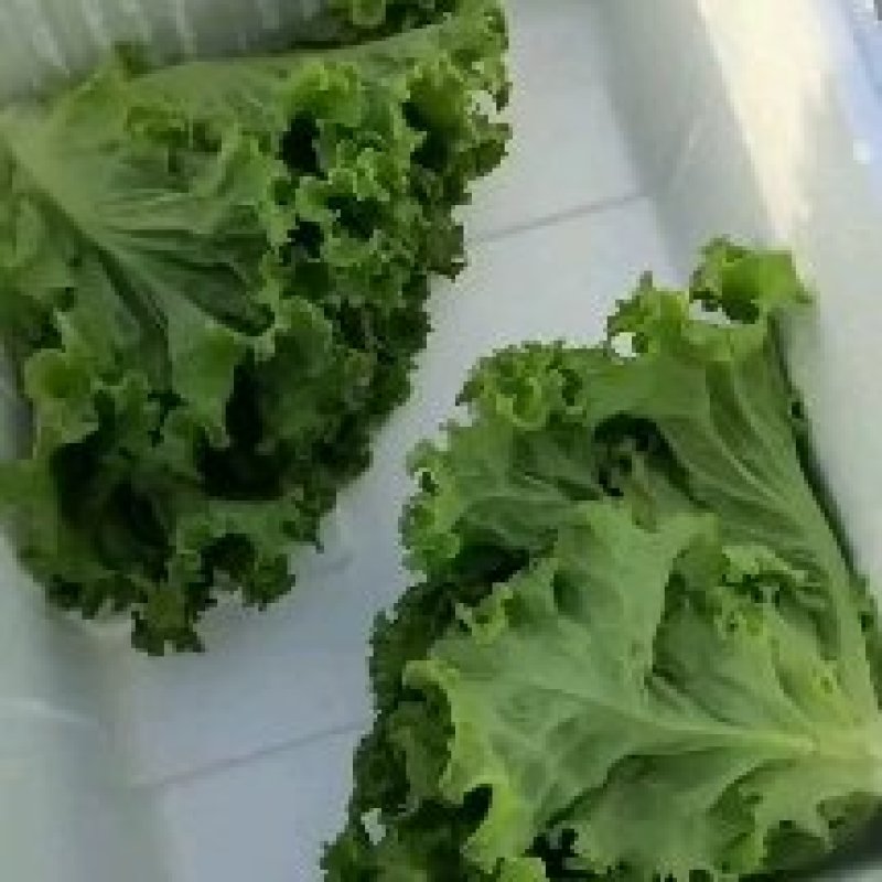 叶菜类