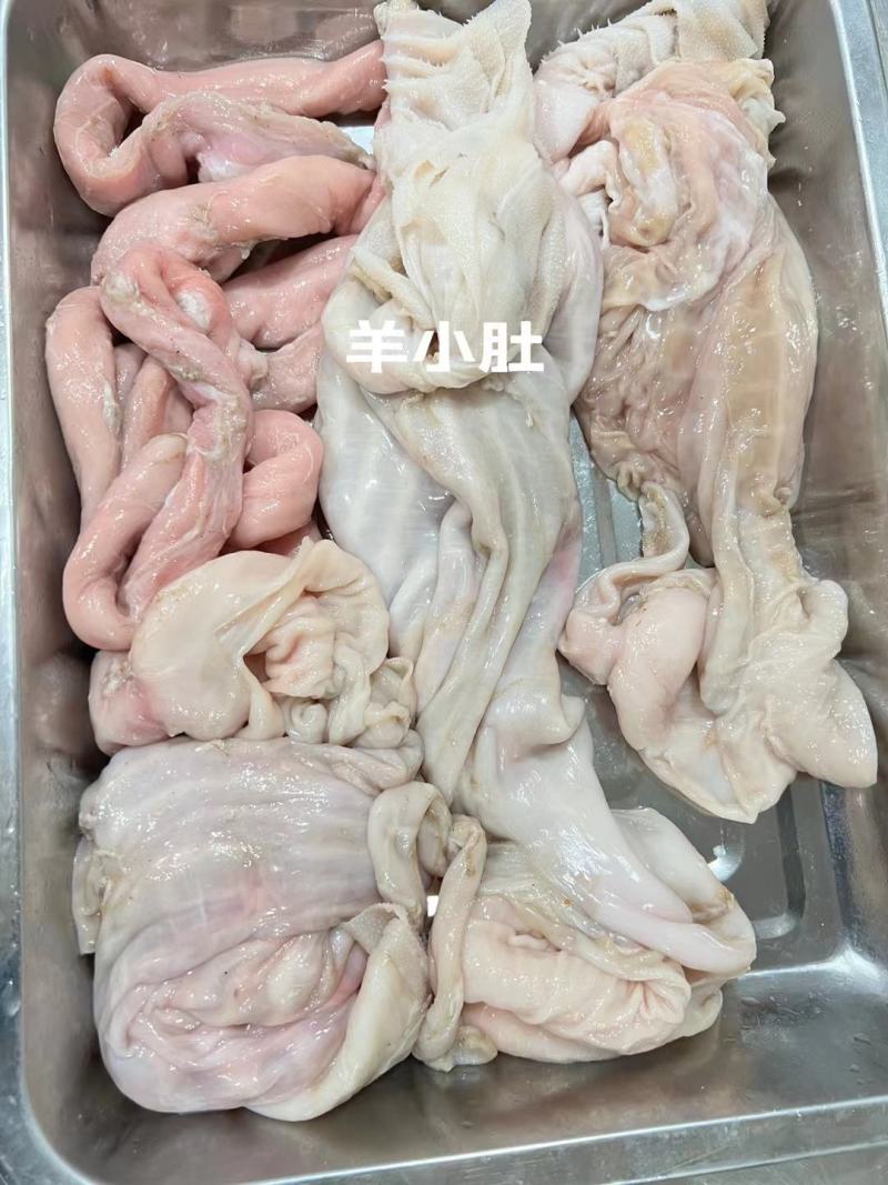羊副产品羊小肚羊散带百叶红肠板冻清真食品