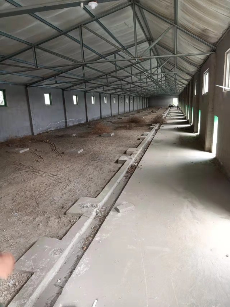 康养山庄
