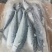 鲅鱼*燕鲅鱼渤海湾大鲅鱼