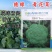 德绿西兰花种子欧兰德青花菜65天早熟高圆型西兰花绿花菜