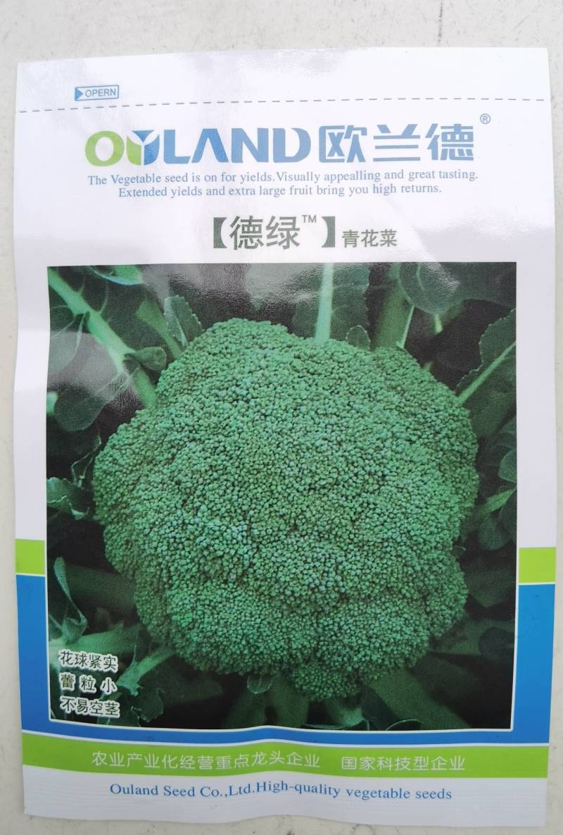 德绿西兰花种子欧兰德青花菜65天早熟高圆型西兰花绿花菜