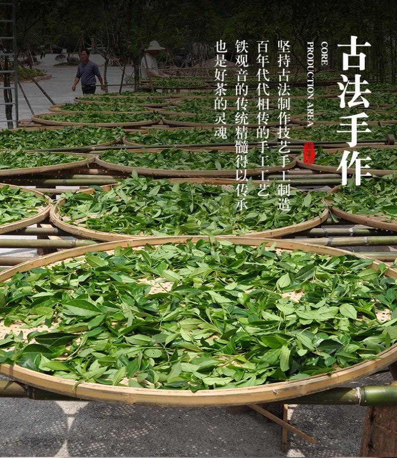 仁君茶叶安溪铁观音热销爆款散装真空包装新茶正宗原产地
