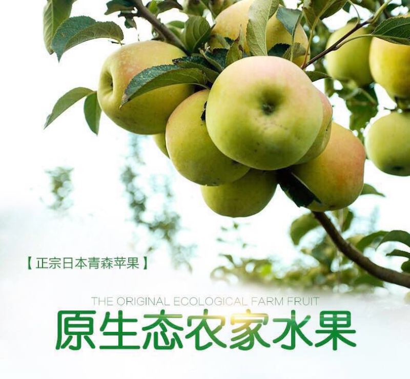 2023九月中旬青森水蜜桃苹果承接一件代发电商对接