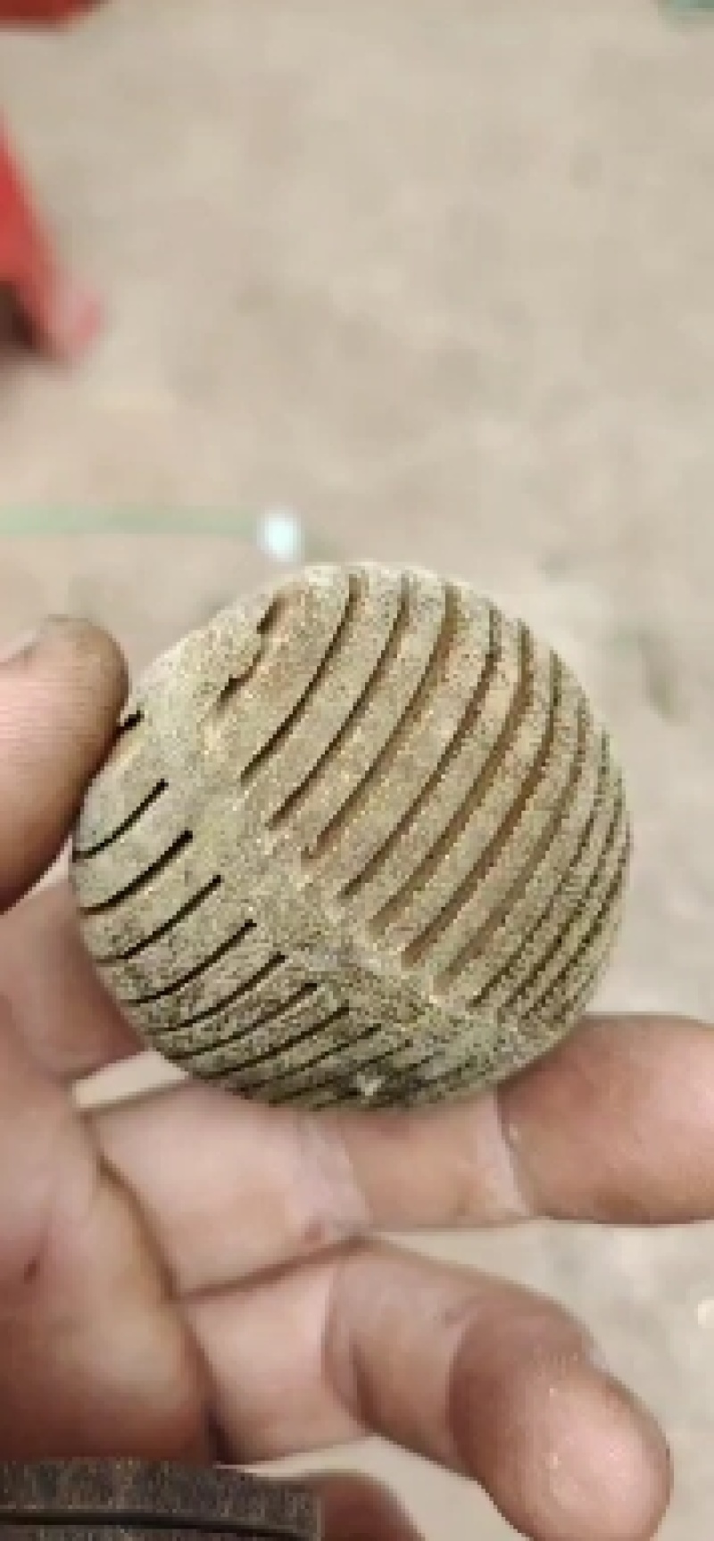 橘红干果连刀果