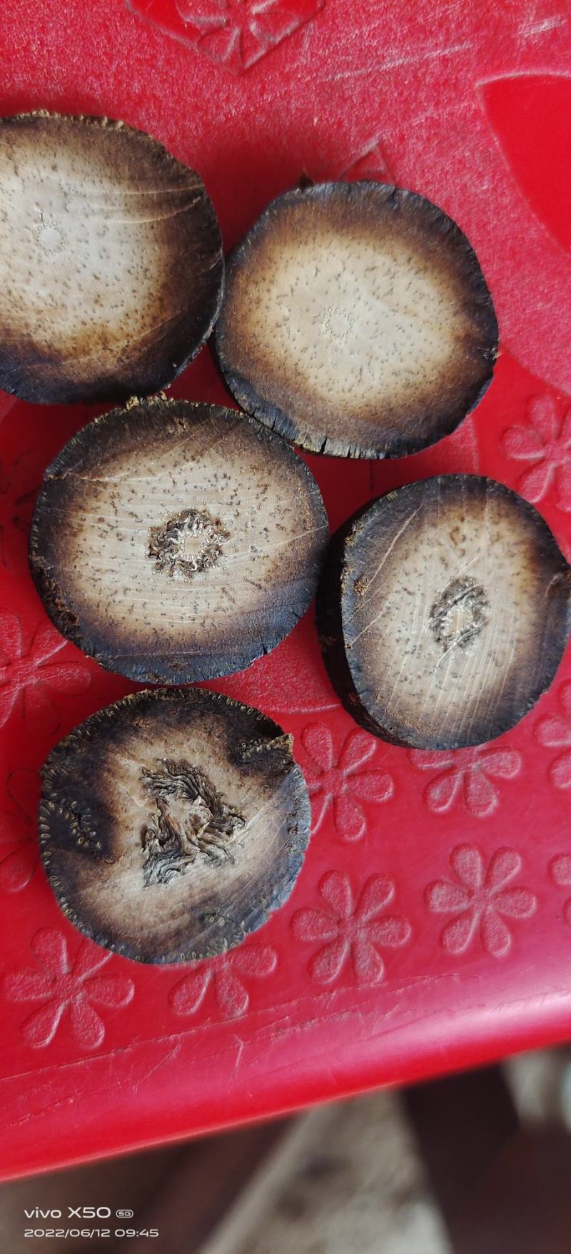橘红干果连刀果