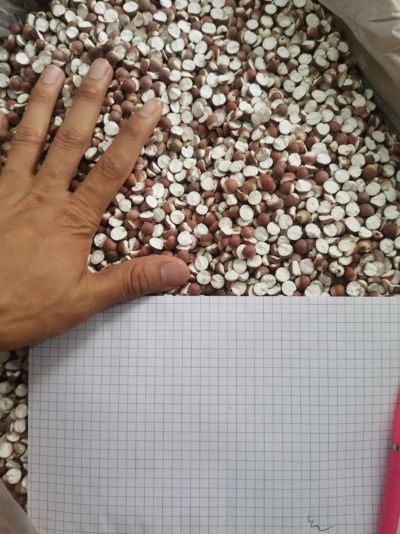 （14厘特大粒）芡实鸡头米肇庆开边芡实茨实米