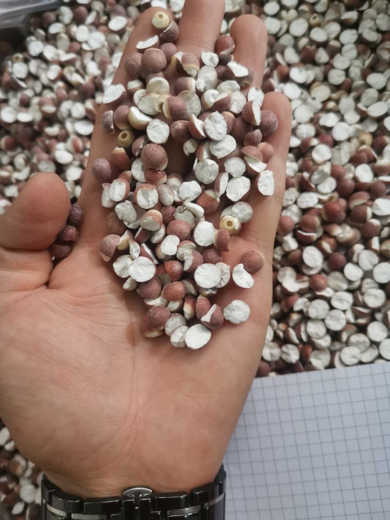 （14厘特大粒）芡实鸡头米肇庆开边芡实茨实米