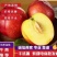 山东油桃产地直供，中油四，126大量供应，一条龙服务，