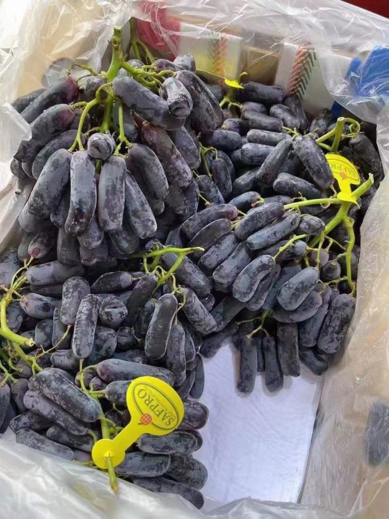 批发【蓝宝石葡萄】蓝宝石葡萄甜度高脆皮可口多汁一手货源