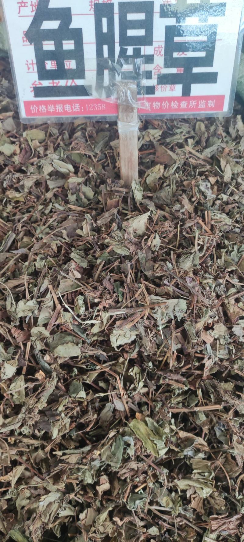 鱼腥草～新货～～切好的18～扎把20~量大优惠～