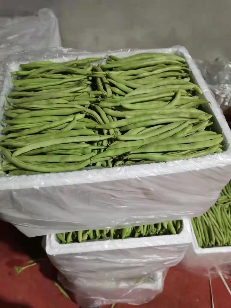 高山四季豆，大量上市保质保量，支持田边看货，拍视频