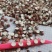 12里大粒粒芡实米茨实米《产地直销》大量现货