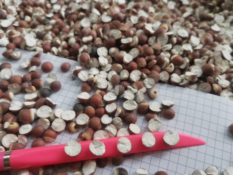12里大粒粒芡实米茨实米《产地直销》大量现货