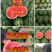 《甜王西瓜保熟保甜》，产地直供山东西瓜潍坊西瓜热卖