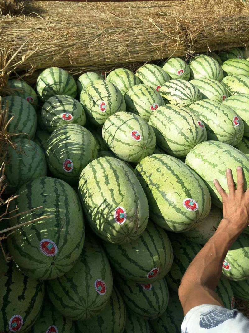 硒砂瓜石头瓜，口感好质量好，适合电商，商超，市场