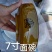 招财进宝