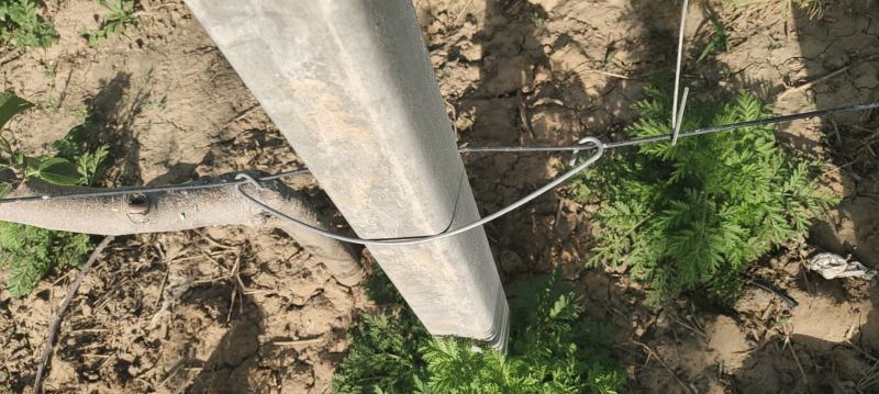 水泥柱固定卡河北永德助新建果园猕猴桃葡萄立架密植果园专用