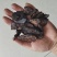地黄片生地生地黄地道药材常年经营，质量保证