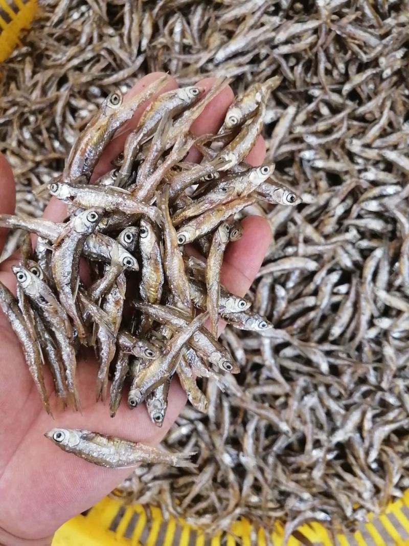 海南白条鱼，不开肚油炸靓货3-5公分左右，好吃不贵，