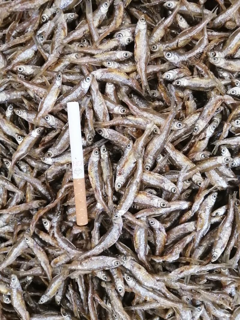 海南白条鱼，不开肚油炸靓货3-5公分左右，好吃不贵，