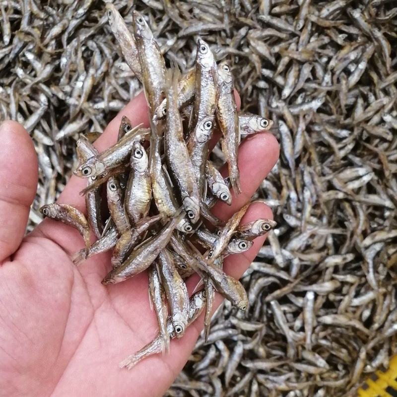 海南白条鱼，不开肚油炸靓货3-5公分左右，好吃不贵，