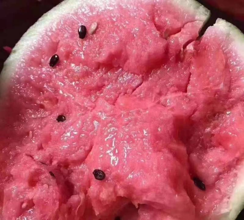 陕西美都西瓜