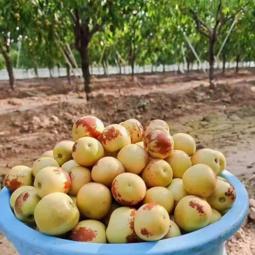 商超转供可提需求