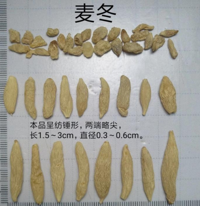 川麦冬四川产地直供麦冬纯无硫正品川麦冬实拍图