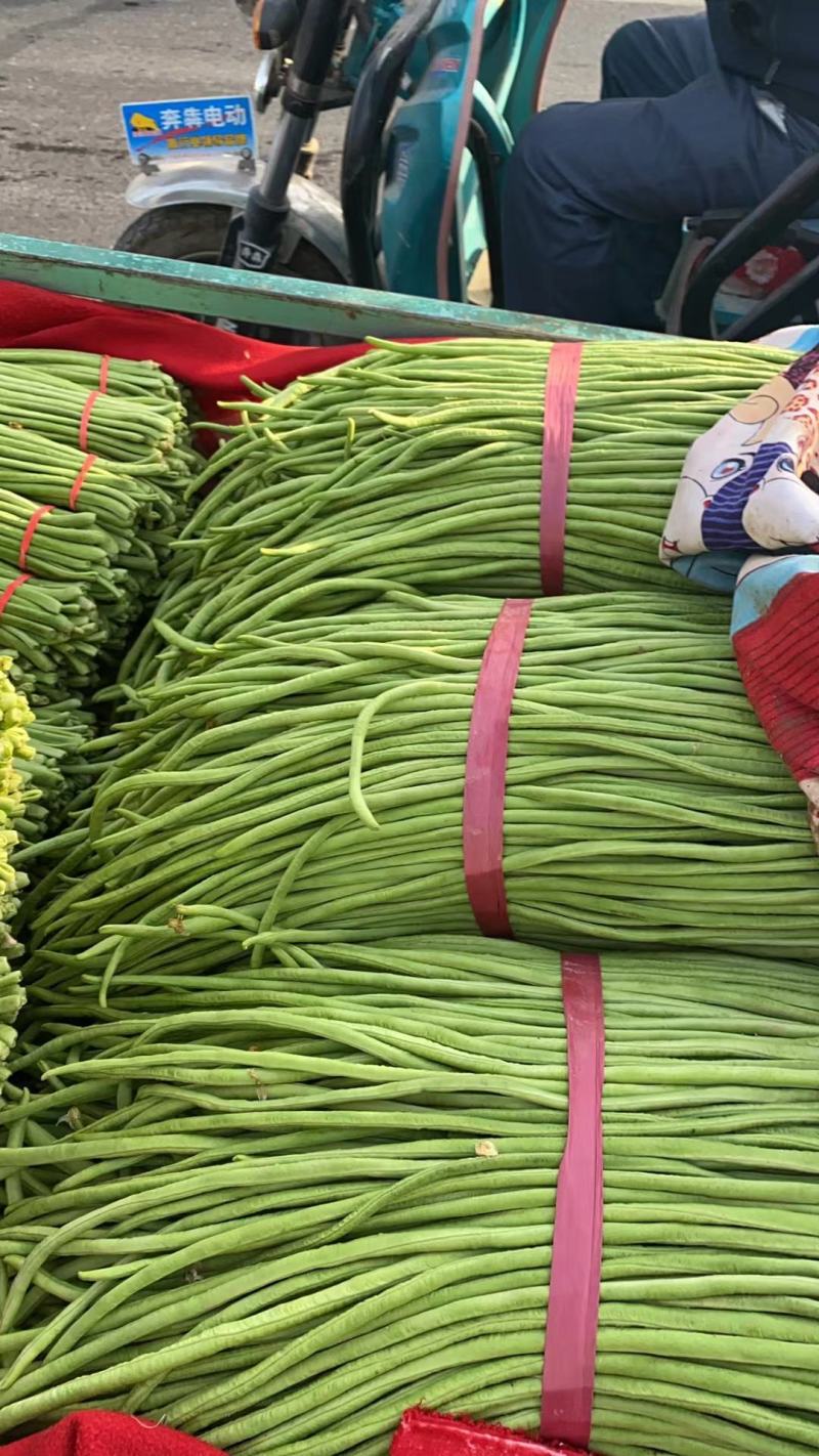 邯郸精品长豆角大量上市本地货源欢迎大家来选购