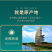 桑叶颗粒2025年桑叶茶颗粒山东桑叶茶加工厂