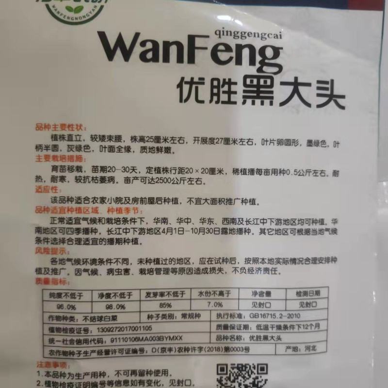 黑大头菜籽青菜种子原装大叶黑叶油亮矮脚苏州青上海青菜蔬菜