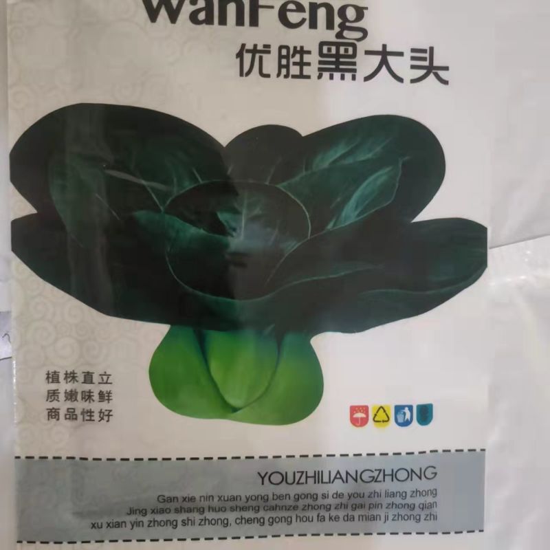 黑大头菜籽青菜种子原装大叶黑叶油亮矮脚苏州青上海青菜蔬菜