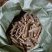 仙茅小棕根小叶品质保证量大从优