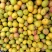 吊干杏，个头偏小，味道香甜，颜色黄亮，耐运输，口感好，