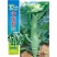 芥蓝种子夏季种菜园种植耐热蔬菜种子农家四季
