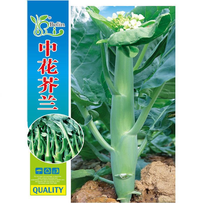 芥蓝种子夏季种菜园种植耐热蔬菜种子农家四季