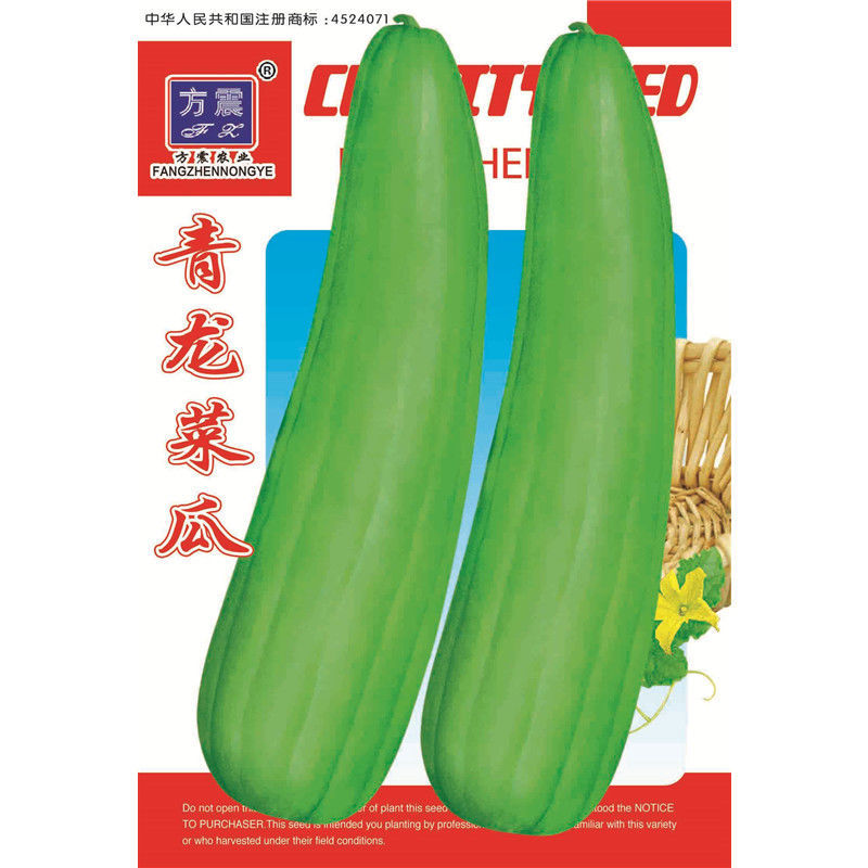 青龙菜瓜种子凉拌生吃腌菜八棱脆瓜青皮酥瓜籽水果蔬菜庭院