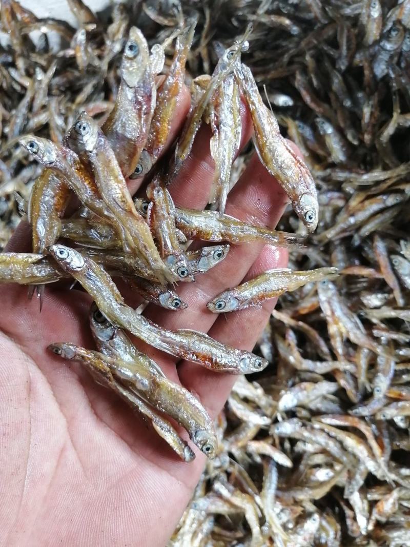 海南白条鱼，不开肚油炸靓货3-5公分左右，好吃不贵，