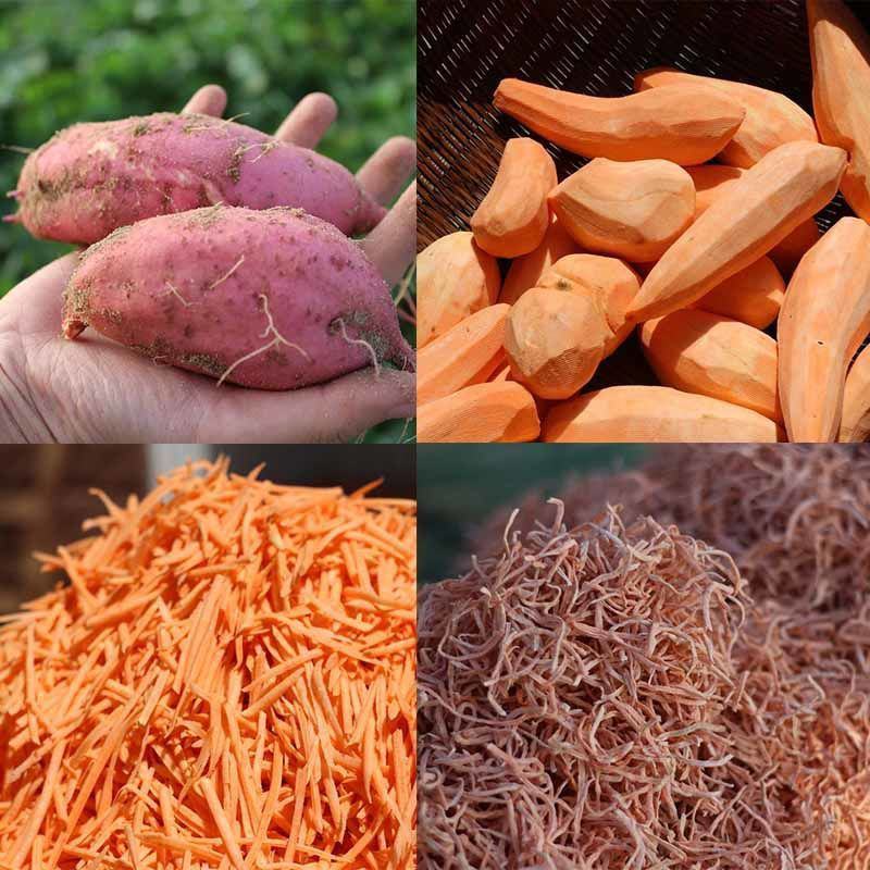红心烟薯丝干烟台去皮生地瓜丝干自然晒干辅食红薯干地瓜丝