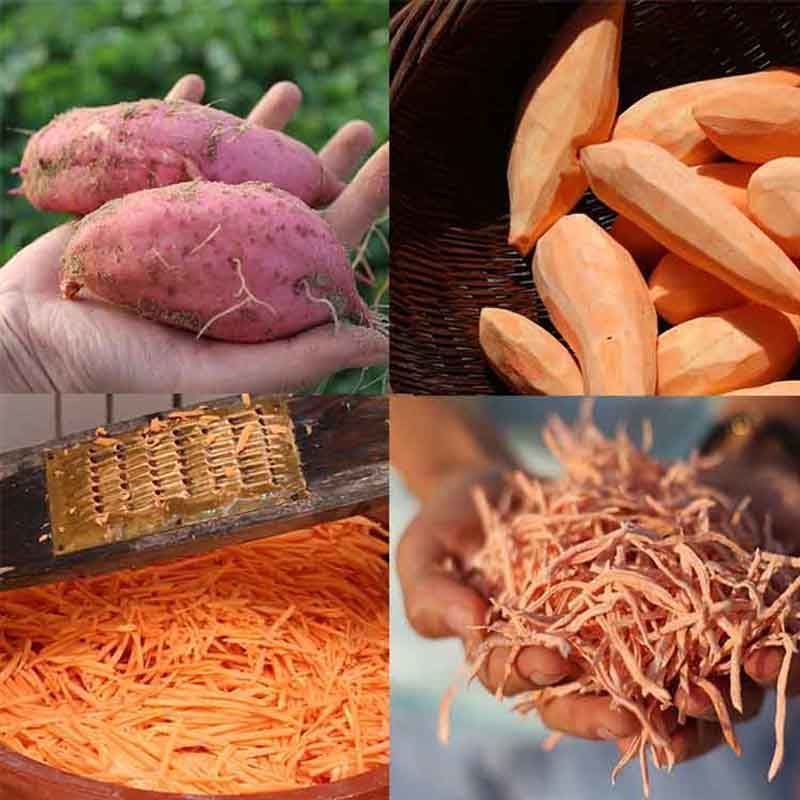 红心烟薯丝干烟台去皮生地瓜丝干自然晒干辅食红薯干地瓜丝