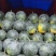 黑无籽西瓜，口感好，皮薄，糖度在12-14