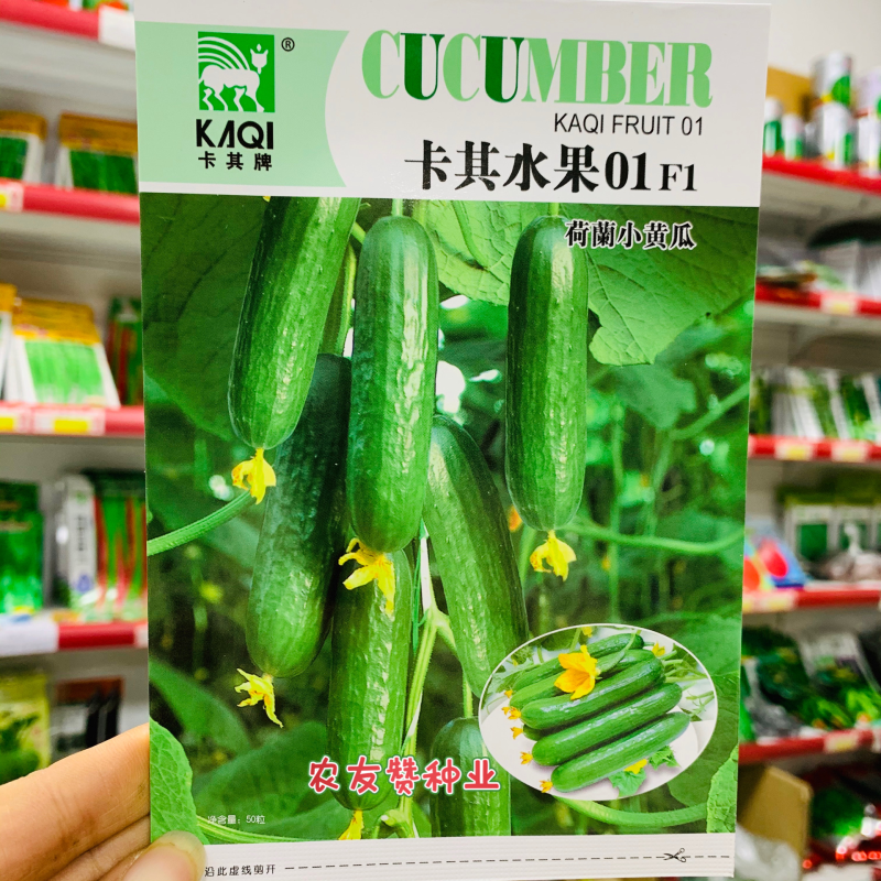 荷兰迷你水果黄瓜种子无刺全雌黄瓜种籽脆甜鲜嫩小黄瓜种子