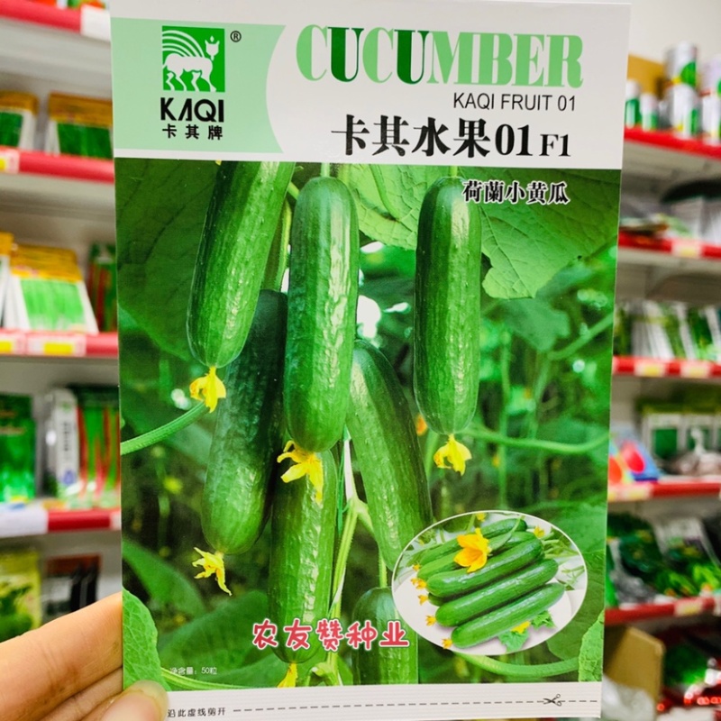 荷兰迷你水果黄瓜种子无刺全雌黄瓜种籽脆甜鲜嫩小黄瓜种子
