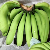 香蕉大量有货。生熟都有