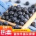 【无糖】大兴安岭野蓝莓果干蓝莓干无糖烘焙零食批发包邮