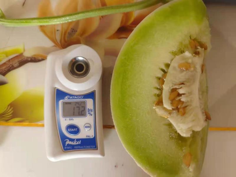 莘县头茬玉菇大量上市，对接商超平台支持一件代发，