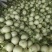 莘县头茬玉菇大量上市,对接商超平台支持一件代发,