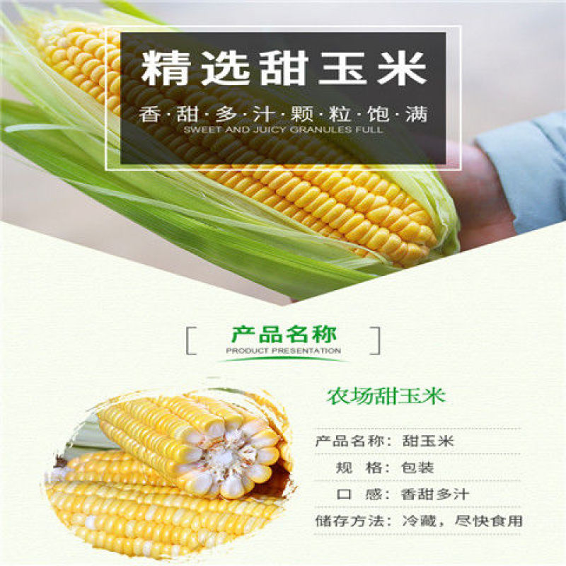 张家界爆甜水果玉米
